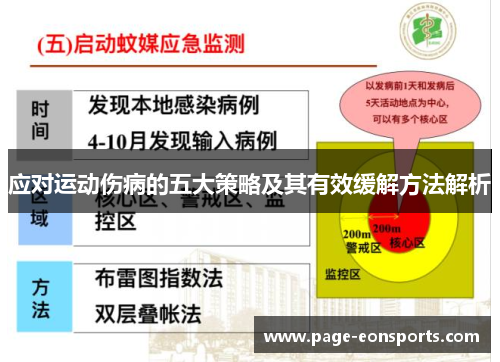 应对运动伤病的五大策略及其有效缓解方法解析