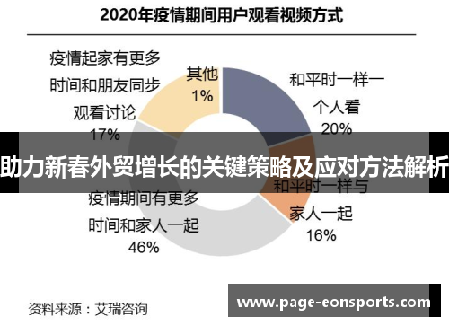 助力新春外贸增长的关键策略及应对方法解析