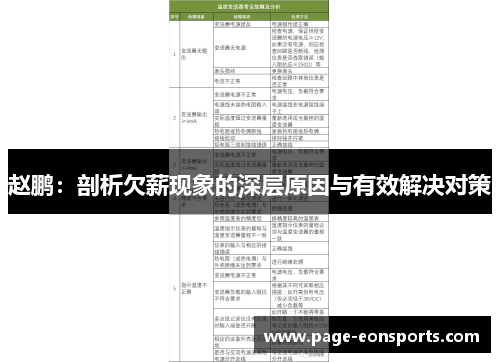 赵鹏：剖析欠薪现象的深层原因与有效解决对策